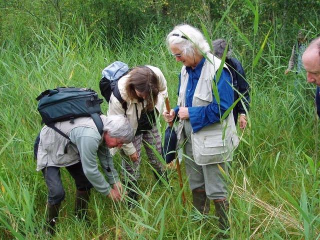 2007 07 Marais du Cerisaie 05
